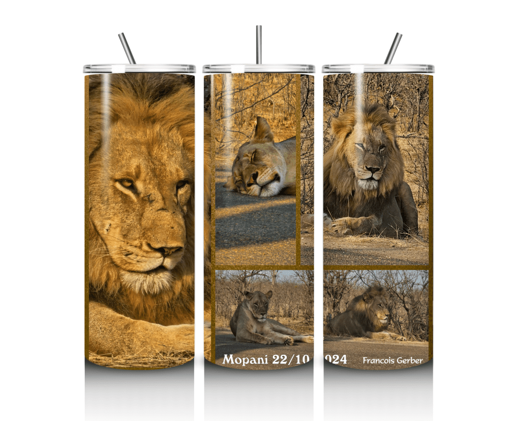 20oz-Tumbler-Lions of Mopani