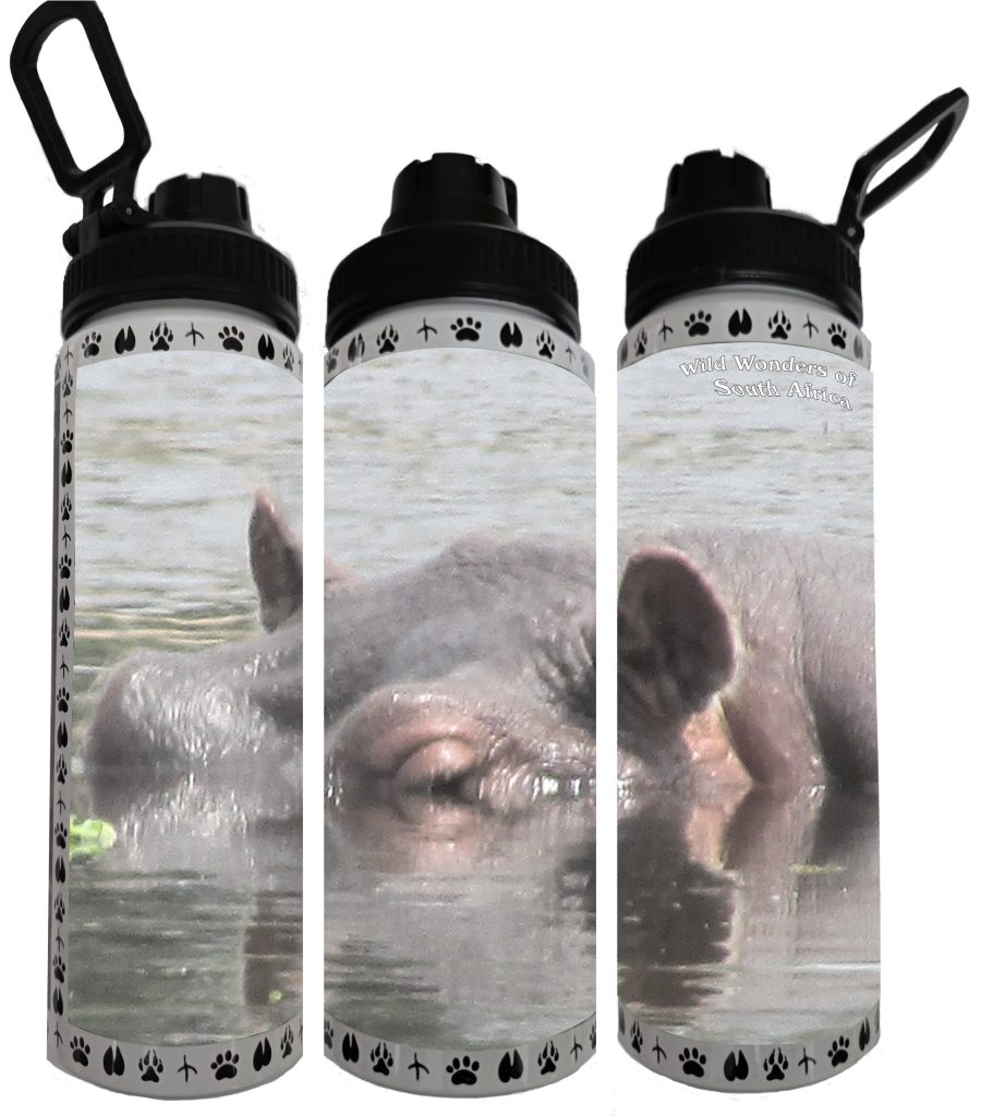 850ml-Aluminium-Water-Bottle-Wild-Hippo-1